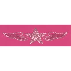 Friedrich|23 Baccara Schmuckkoffer Aus Mikrofaser Sternenmotiv Pink -Travelite Store Friedrich 23 Baccara Schmuckkoffer aus Mikrofaser Sternenmotiv pink K143171 e 1280x1280